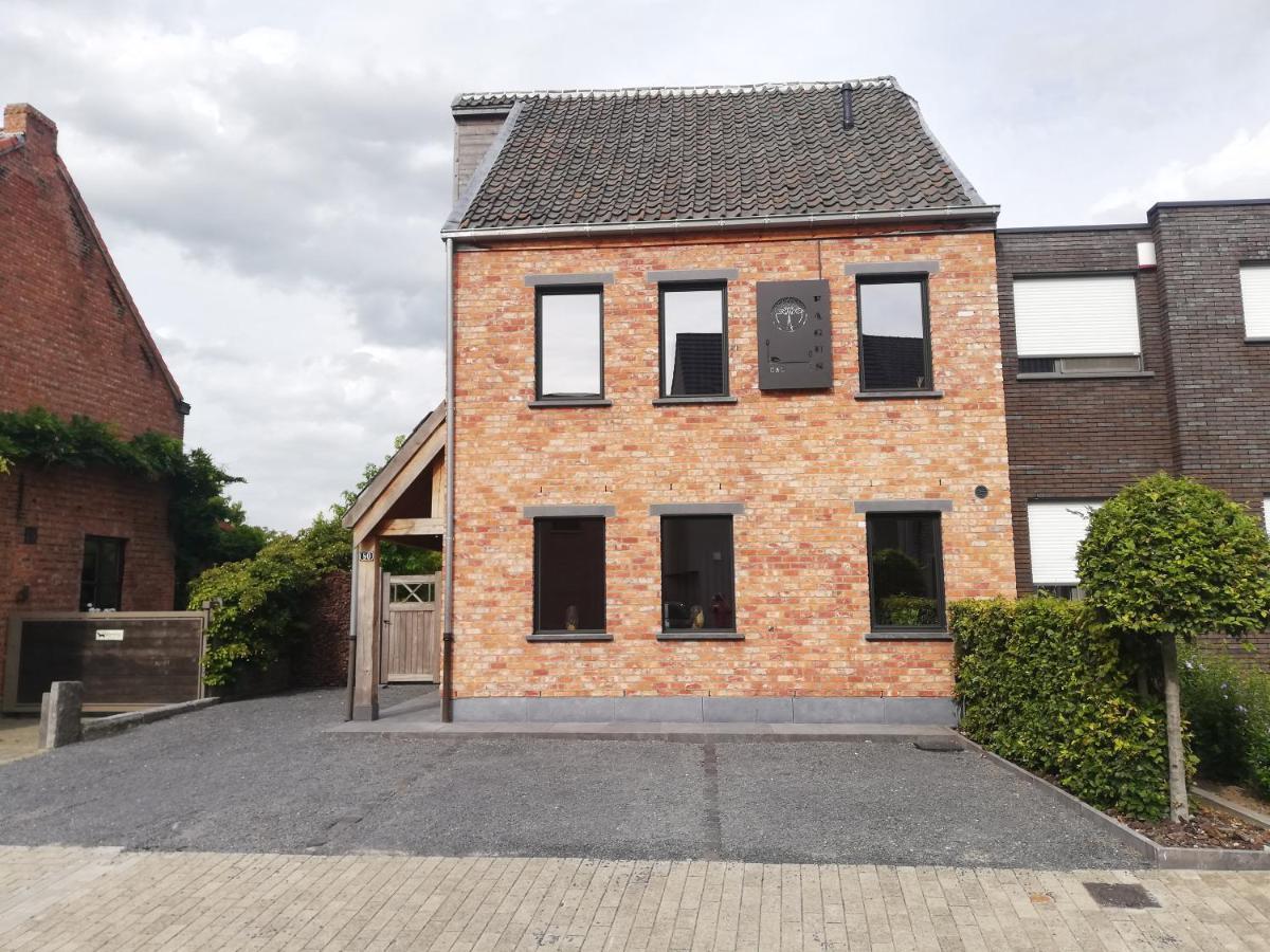 B&B Fagus Buggenhout Buitenkant foto